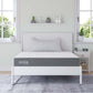 Modway Mila 8" Full Mattress FredCo