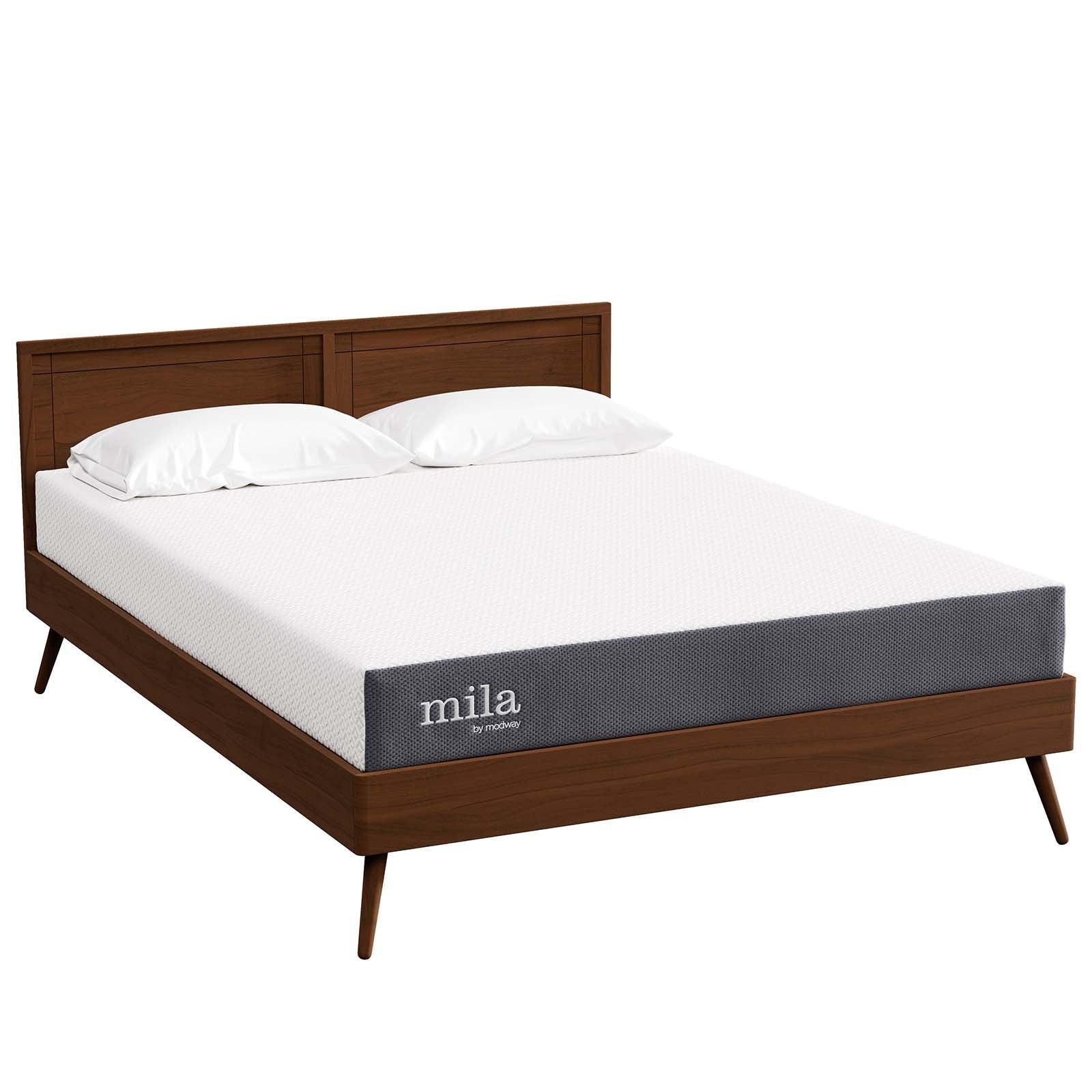 Modway Mila 8" Queen Mattress FredCo