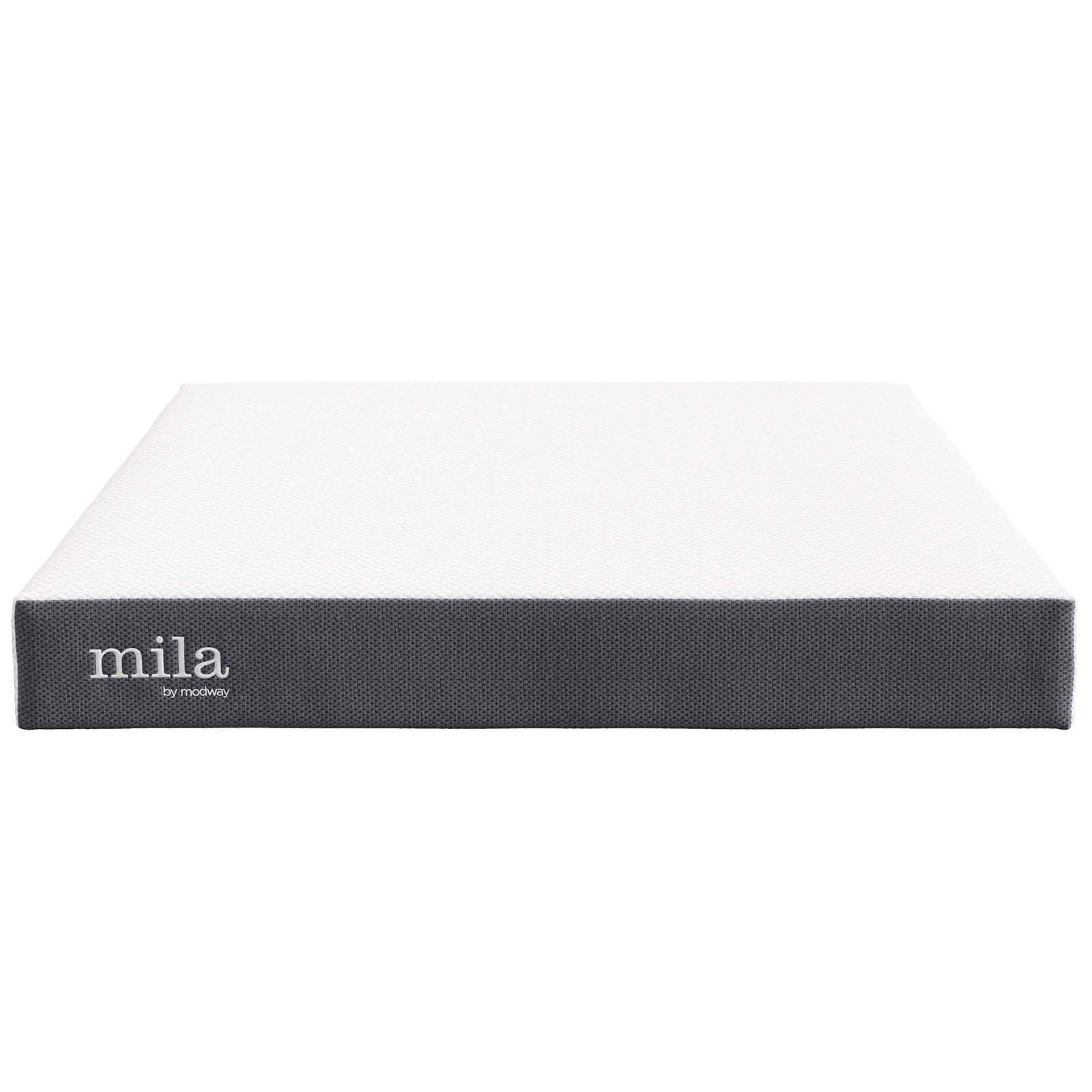 Modway Mila 8" Queen Mattress FredCo