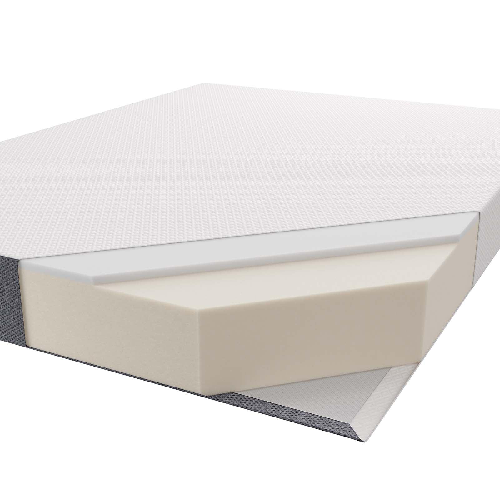 Modway Mila 8" Queen Mattress FredCo