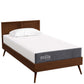 Modway Mila 8" Twin Mattress FredCo