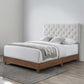 Modway Rhiannon Diamond Tufted Upholstered Fabric Queen Bed FredCo
