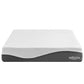 Modway Sabrina 12" Queen Memory Foam Mattress FredCo