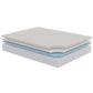Modway Sabrina 12" Twin Memory Foam Mattress FredCo