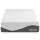 Modway Sabrina 12" Twin Memory Foam Mattress FredCo