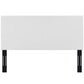 Modway Taylor King and California King Upholstered Faux Leather Headboard FredCo