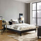 Modway Tessie Queen Vinyl Bed Frame with Squared Tapered Legs FredCo