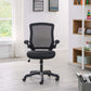 Modway Veer Mesh Office Chair FredCo