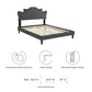 Neena Performance Velvet Queen Bed, MOD-6830 FredCo