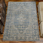 Noland Floral Medallion Traditional Area Rug FredCo
