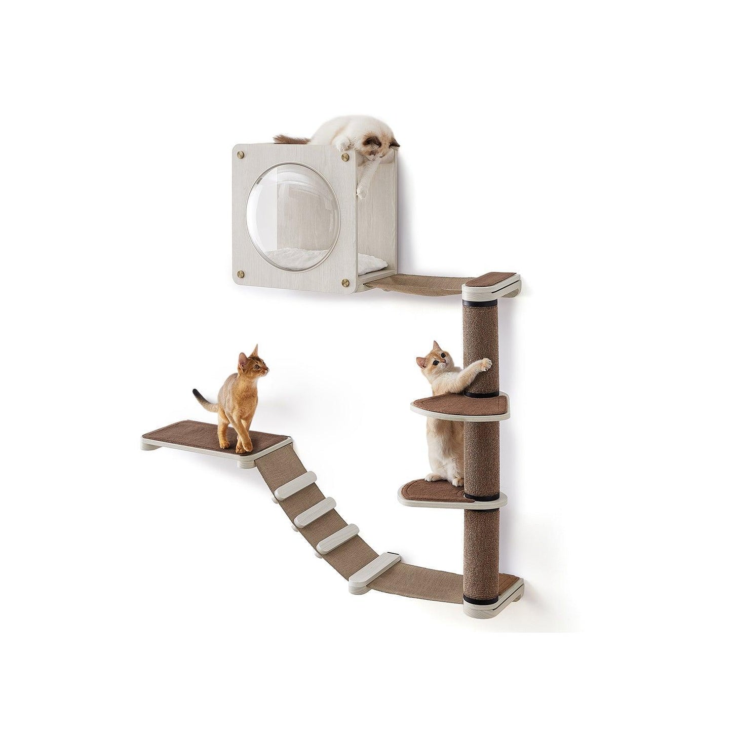 Oasis - Cat Wall Furniture Set of 5 FredCo