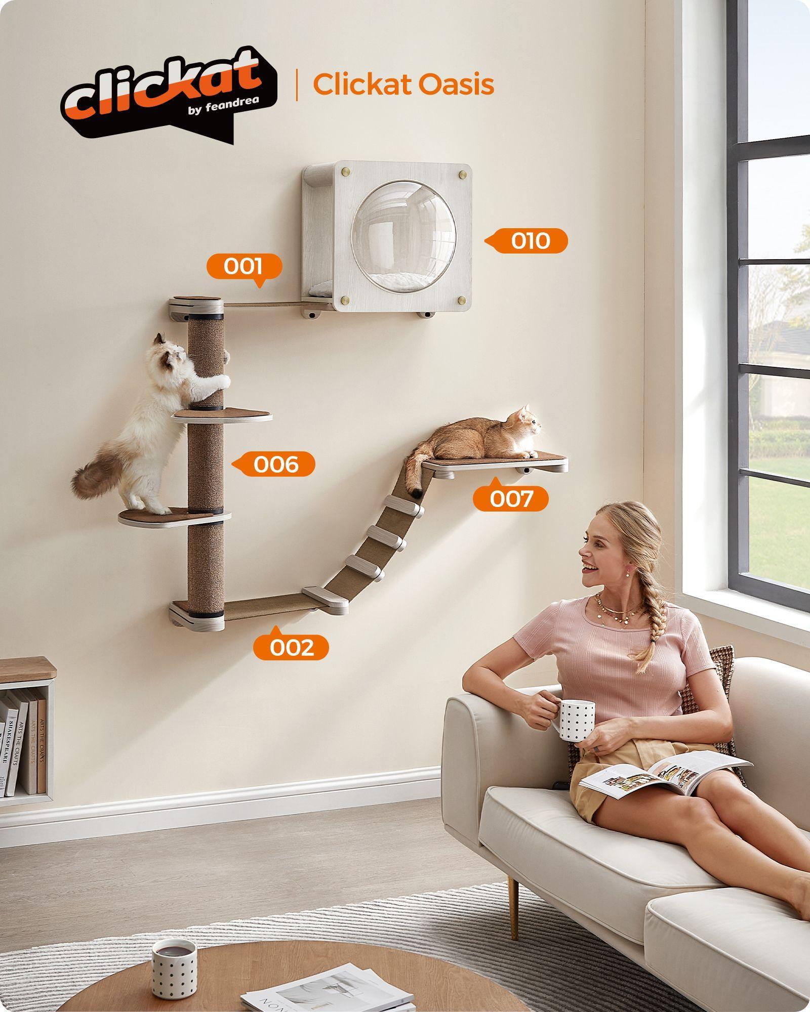 Oasis - Cat Wall Furniture Set of 5 FredCo