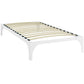 Ollie Twin Bed Frame, MOD-5747 FredCo