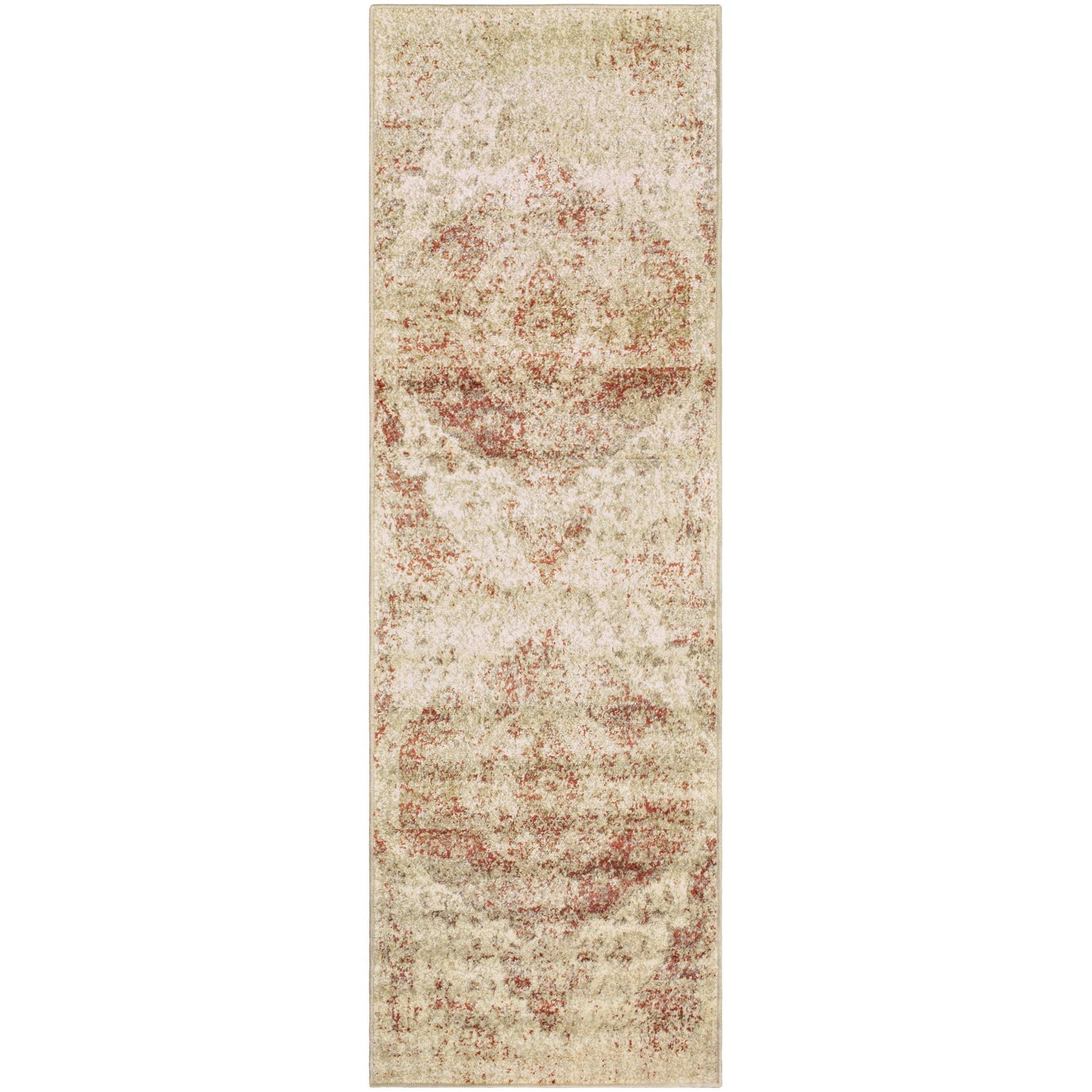 Ombre Oriental Vintage Medallion Rug FredCo