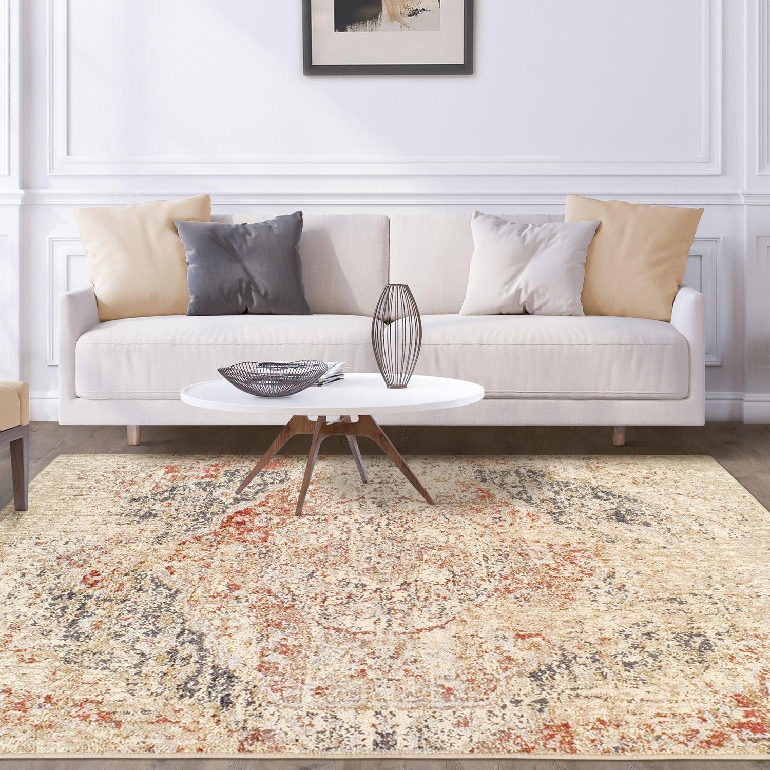 Ombre Oriental Vintage Medallion Rug FredCo