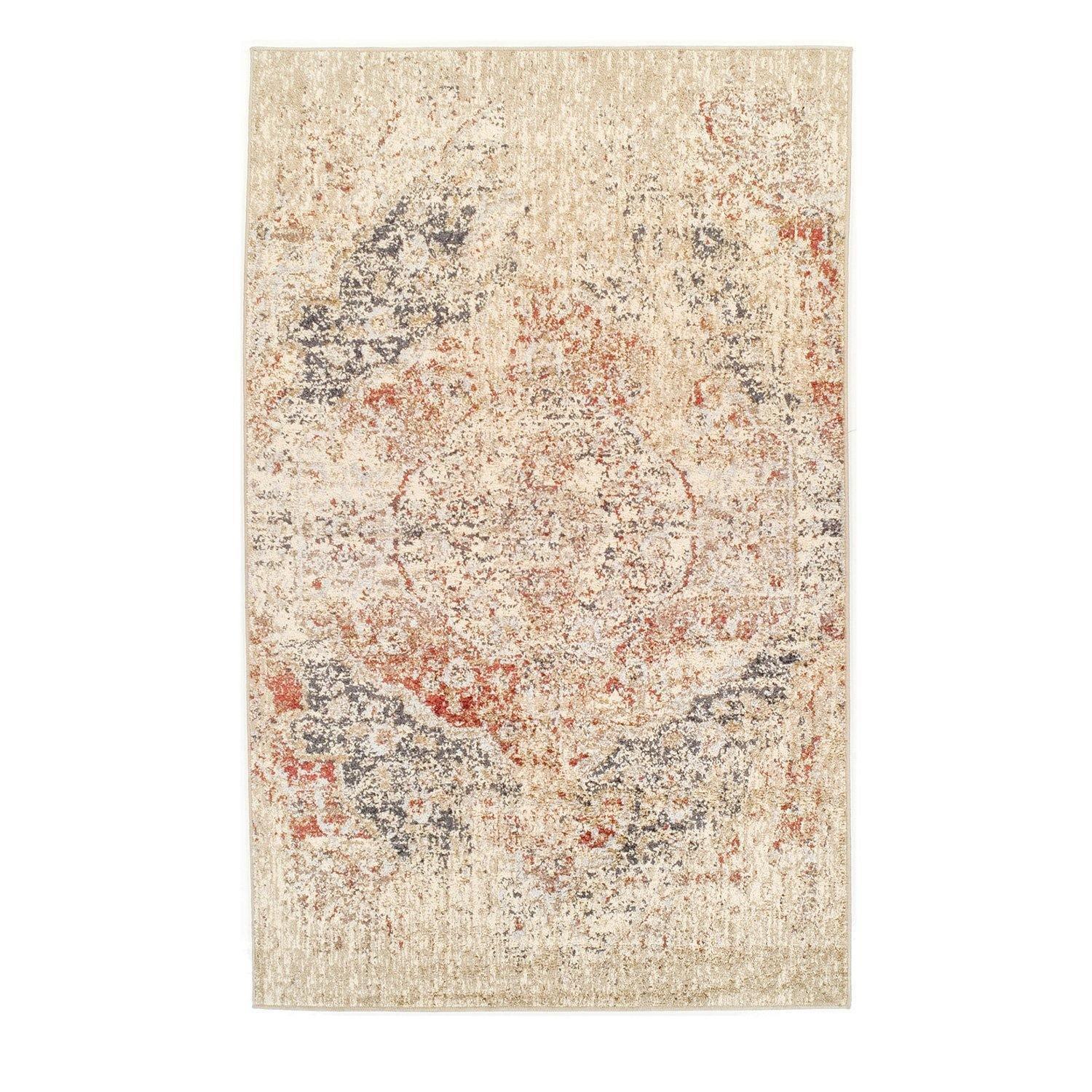 Ombre Oriental Vintage Medallion Rug FredCo