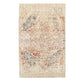 Ombre Oriental Vintage Medallion Rug FredCo