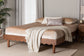 Orianthe Scalloped Queen Bed Frame FredCo
