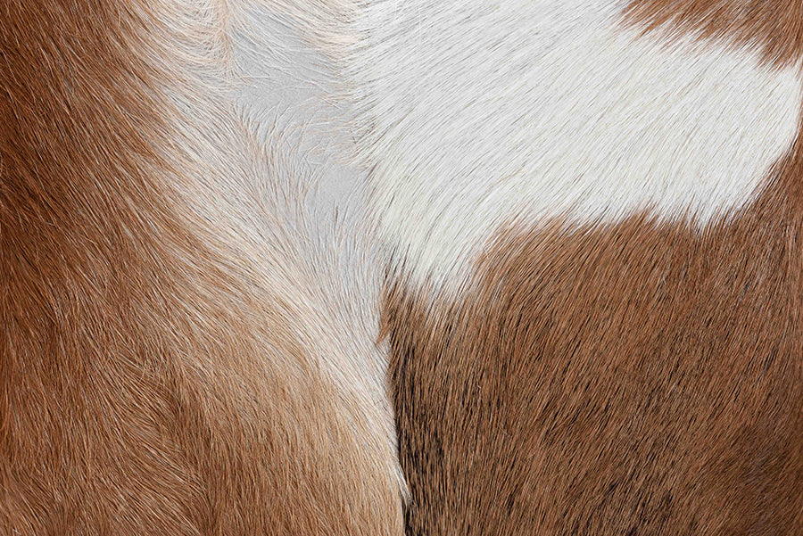 Scotlyn Genuine Goat Leather Footstool FredCo