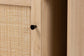 Sherwin Mid-Century Modern Light Brown and Black 1-Door Cabinet with Woven Rattan Accent FredCo