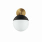 Stellar 1-Light Wall Sconce, EEI-5655 FredCo