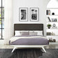 Tracy Queen Bed, MOD-5766 FredCo
