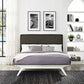 Tracy Queen Bed, MOD-5766 FredCo