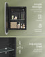 Wall-Mounted Cabinet with Mirror and Lights Ink Black FredCo