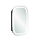 Wall-Mounted Cabinet with Mirror and Lights Ink Black FredCo