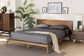 Wheatley Mid-Century Modern Walnut Brown Finished Wood Queen Size Platform Bed FredCo