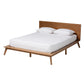 Wheatley Mid-Century Modern Walnut Brown Finished Wood Queen Size Platform Bed FredCo