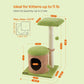 WhimsyWonders Cat Tree House FredCo