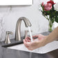 Widespread Bathroom Sink Faucets Two Handle 3 Hole with Drain Assembly FredCo