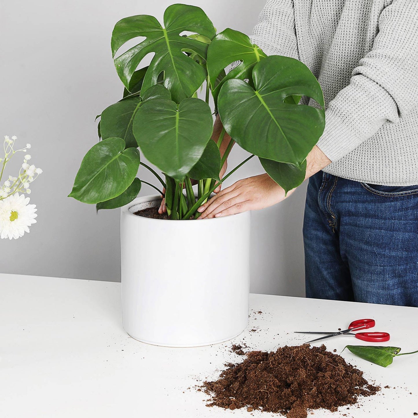 10in Ceramic Plant Pot FredCo