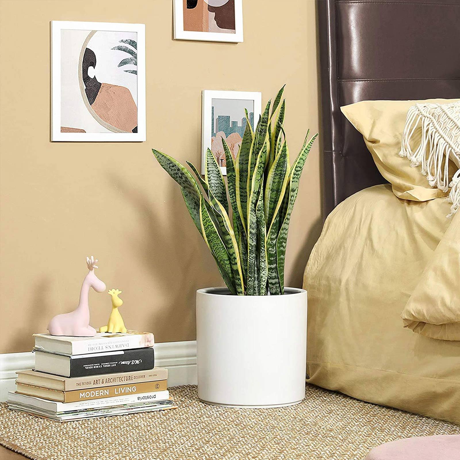 10in Ceramic Plant Pot FredCo
