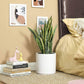 10in Ceramic Plant Pot FredCo