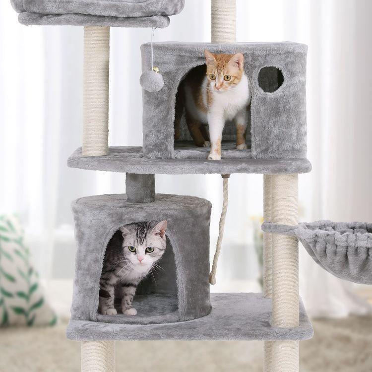 2 Condos Cat Tower FredCo