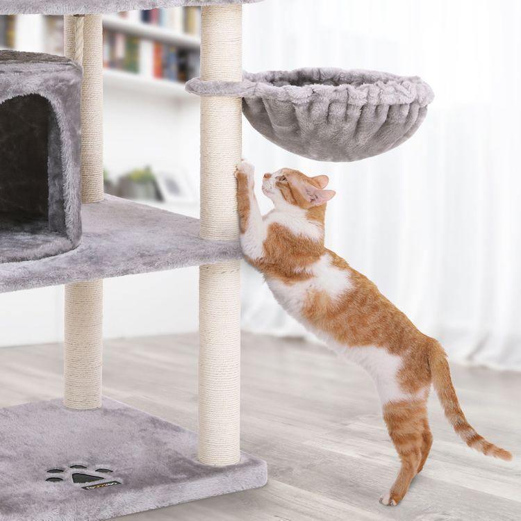 2 Condos Cat Tower FredCo