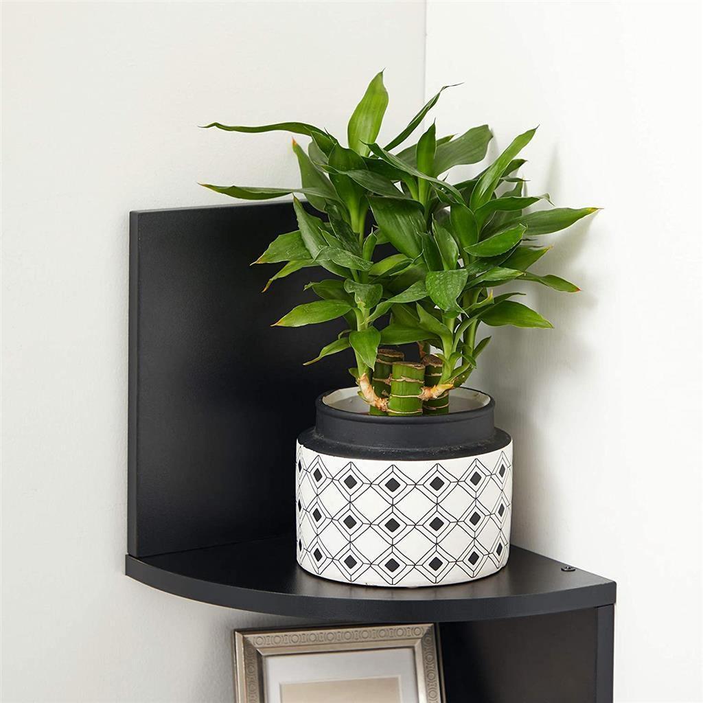 5-Tier Floating Wall Shelf FredCo