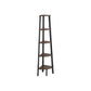 5 Tier Ladder Bookcase FredCo