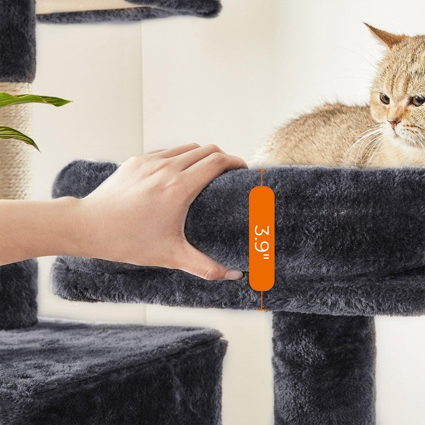 61 Inches Cat Tower with Caves FredCo