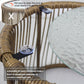 6PCS Outdoor Patio Balcony Wicker Sofa Chair Set with Beige Cushion,Round Tempered Glass FredCo