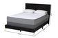 Abberton Modern and Contemporary Black Velvet and Gold Metal Queen Size Panel Bed FredCo