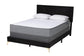 Abberton Modern and Contemporary Black Velvet and Gold Metal Queen Size Panel Bed FredCo