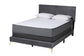 Abberton Modern and Contemporary Grey Velvet and Gold Metal Queen Size Panel Bed FredCo