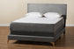 Abberton Modern and Contemporary Grey Velvet and Gold Metal Queen Size Panel Bed FredCo