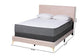 Abberton Modern and Contemporary Light Pink Velvet and Gold Metal Queen Size Panel Bed FredCo