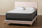 Abberton Modern and Contemporary Light Pink Velvet and Gold Metal Queen Size Panel Bed FredCo
