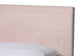 Abberton Modern and Contemporary Light Pink Velvet and Gold Metal Queen Size Panel Bed FredCo