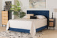Abberton Modern and Contemporary Navy Blue Velvet and Gold Metal Queen Size Panel Bed FredCo